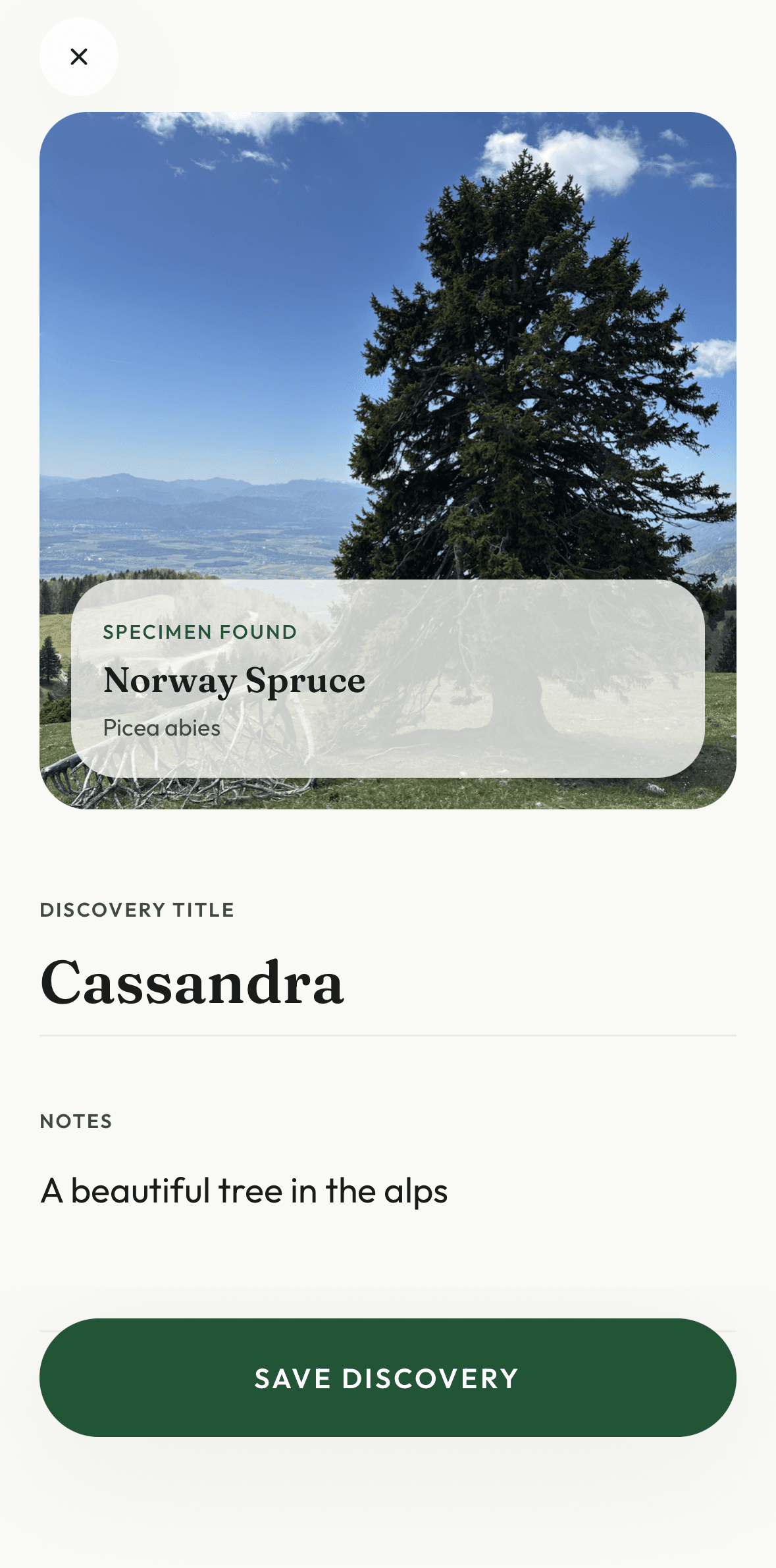 Naming a newly claimed tree in the Hi, Tree app